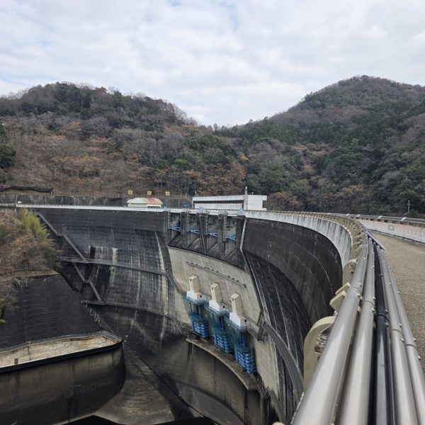 今年もよろしくお願いします。